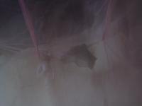 2012-08-10 13.23.28 copy