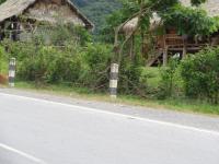 DSC00993