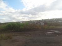 DSC00254