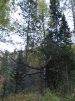 DSC00514