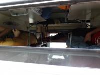 DSC00519