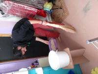 DSC00597