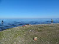 DSC00604
