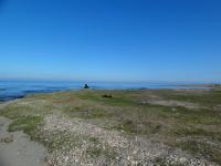 DSC00606
