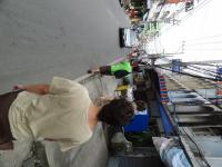 rue rewadee
