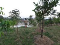 DSC01458