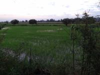 DSC01482