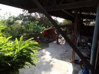 wwoofing au home stay cottage