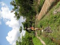 construction de support pour haricot