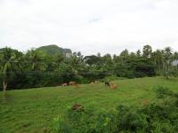 DSC01662