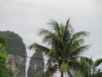 DSC01667