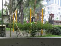 parc sur la route de krabi