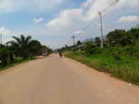 DSC01833